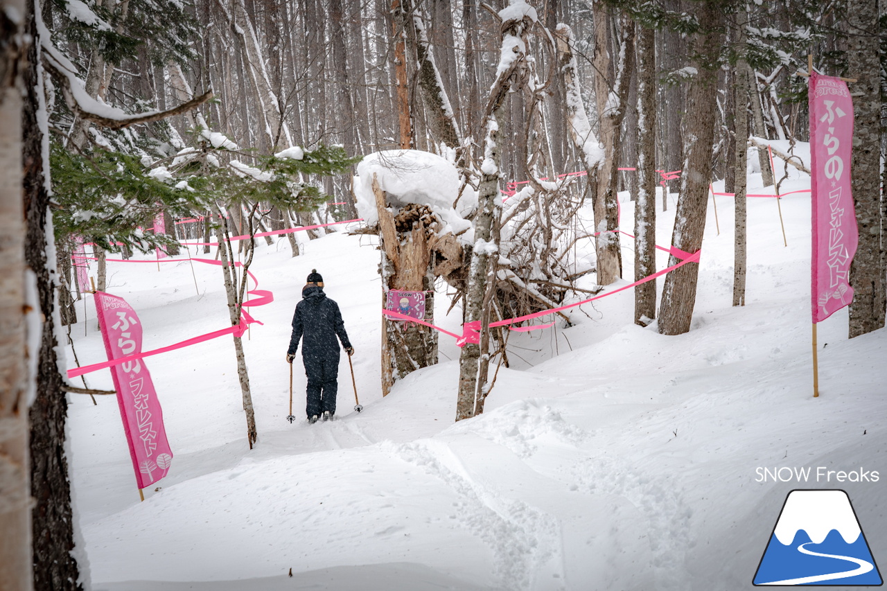 富良野スキー場｜スキーやスノーボードが初めての子供たちや初級者でも、ゲレンデの楽しさを味わえる工夫がいっぱい♪みんなに優しいスノーリゾート・富良野スキー場(^^)/